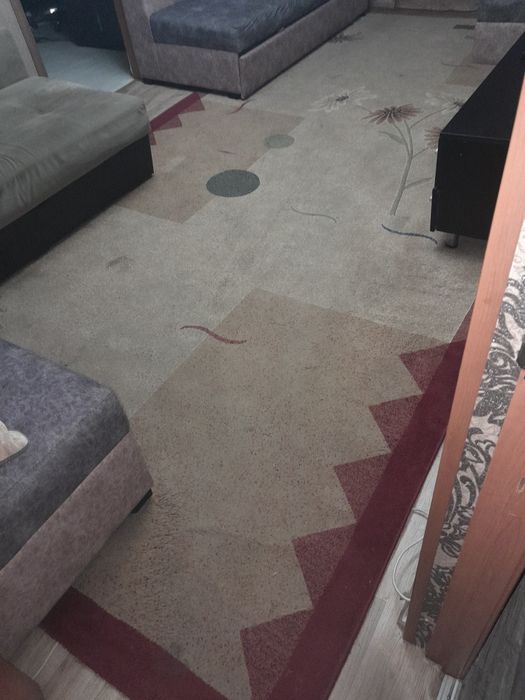 ковер 2.5 м на 5м после химчистки