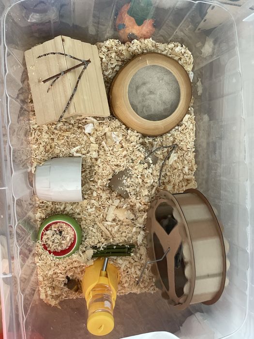 Продаем контейнер с вещамм внутри