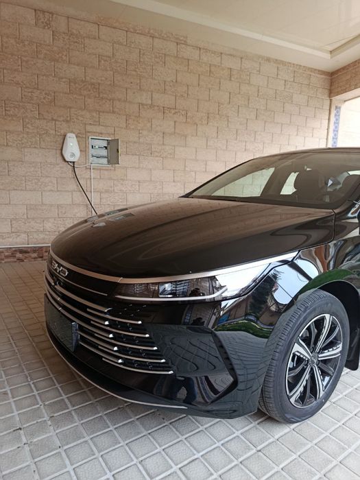 L6,7,8,9 Byd Chempion Chazor Yuan up Honji Lepmotor Depal S 7 Tesla