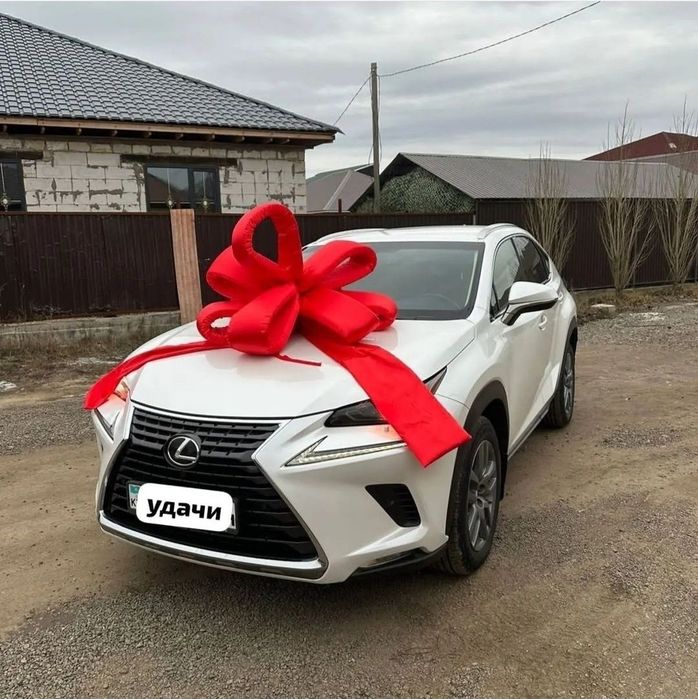 Продам большой бант на машину