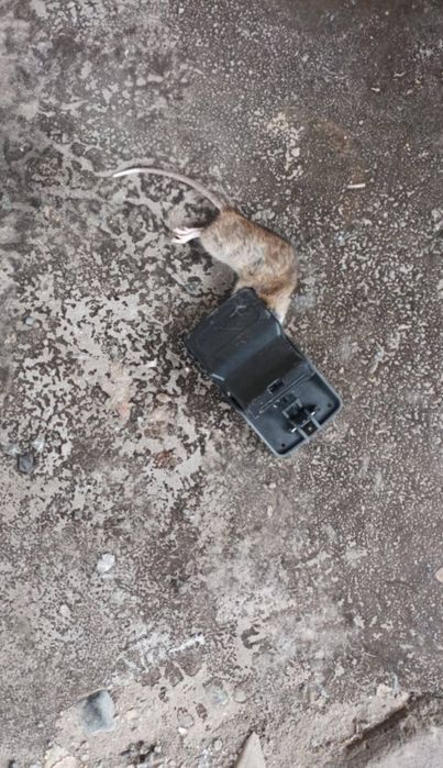 Мышеловка для дома,новые.