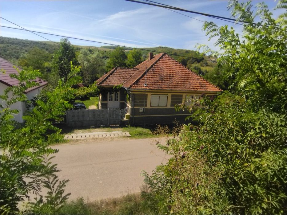Vând casa + gradina
