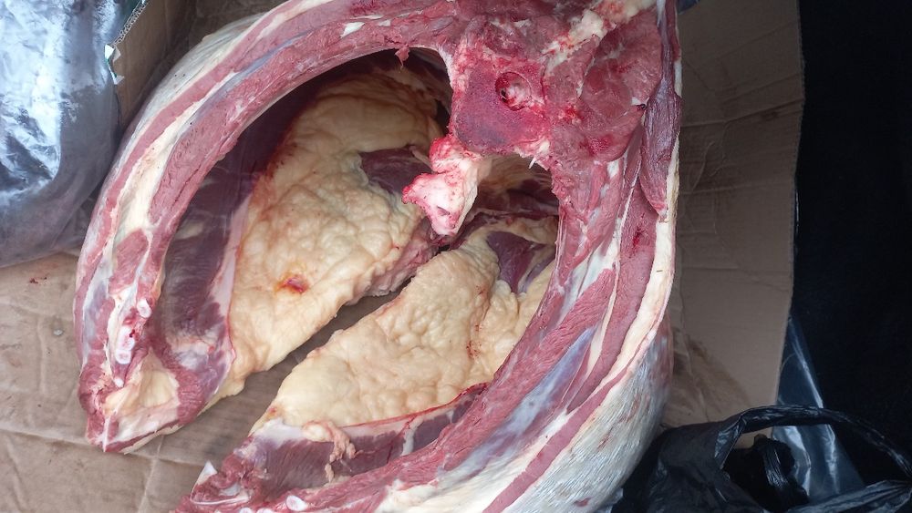 Баянаулский мясо