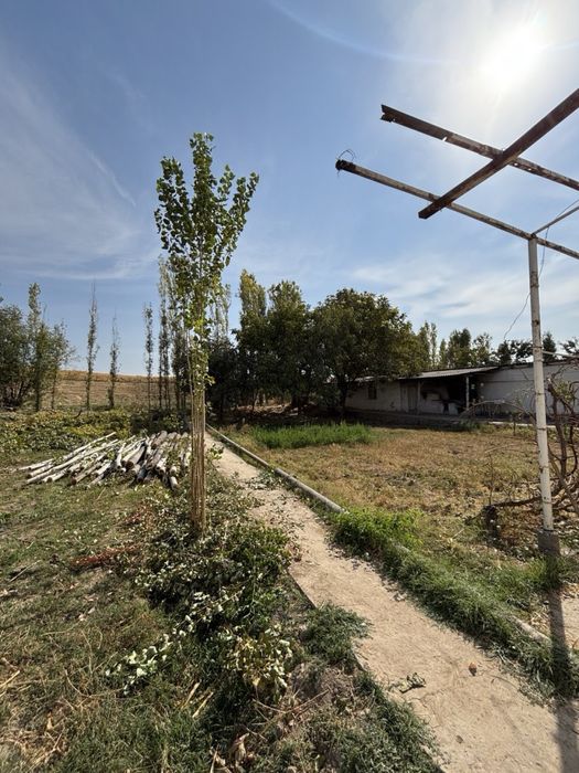 YER SOTILADI srochno !!!