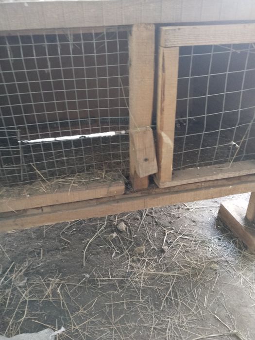 Продаются клетки кроликам