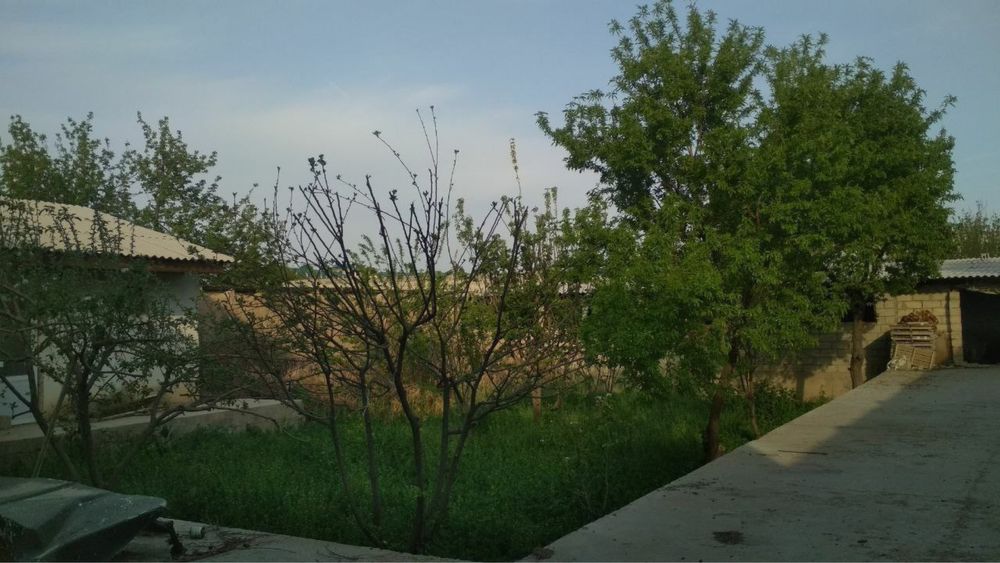 Xovli sotiladi 9 sotix