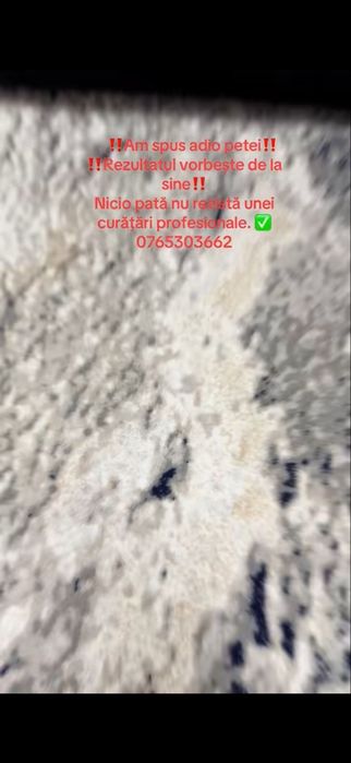 Curățare profesionala , mochete și canapele,servici curetenie
