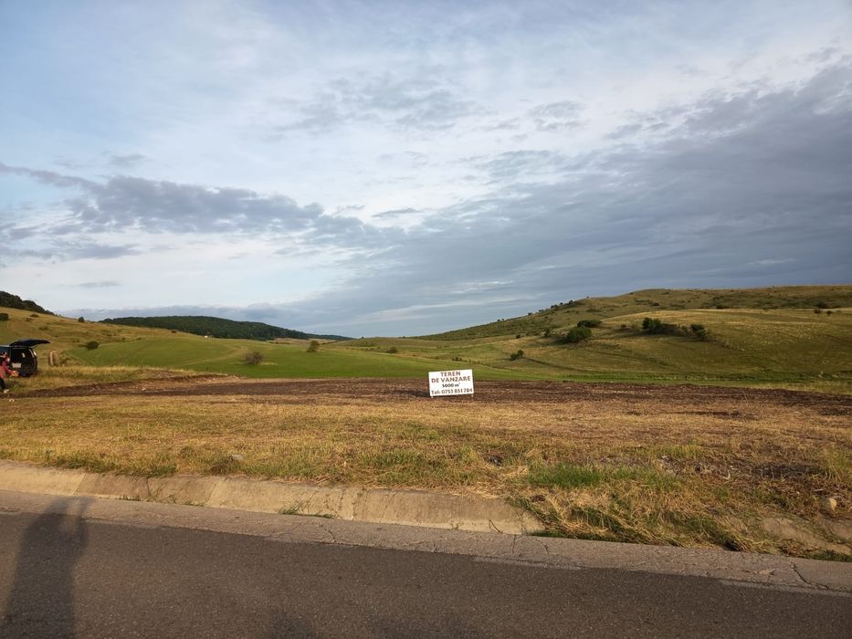 Teren construibil intravilan 5.000 mp parcelat în 2400mp + 2000mp cu drum- Piatra Neamț