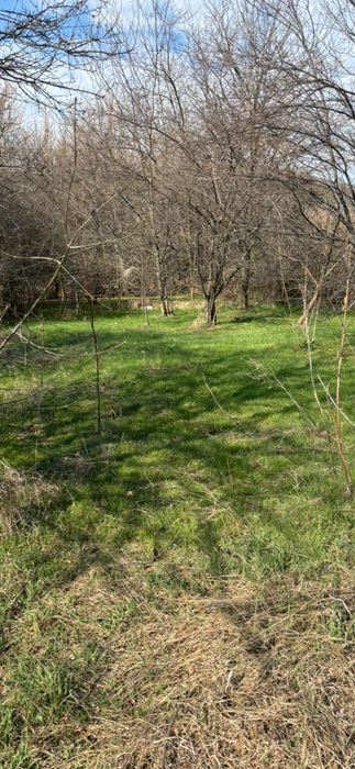 Продава се Парцел в с. Богомилово, Област Стара Загора - 1878 кв.м за 19 €/кв.м - Снимка #10