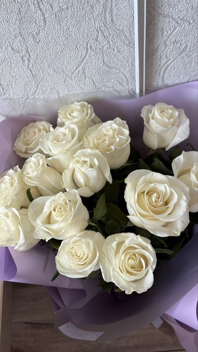 Роза 1 метр свежая