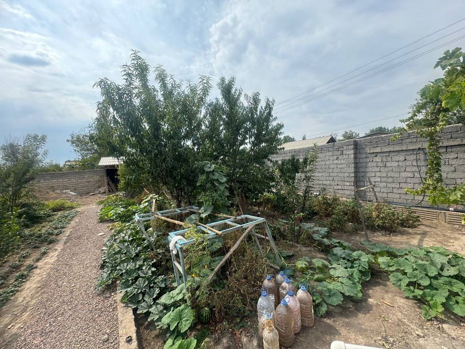 дала ховли (дача)