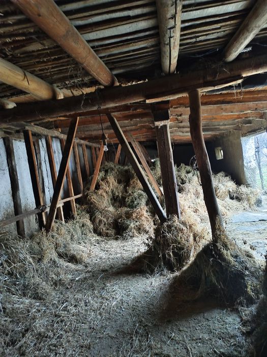 7 sotixlik xovli sotiladi