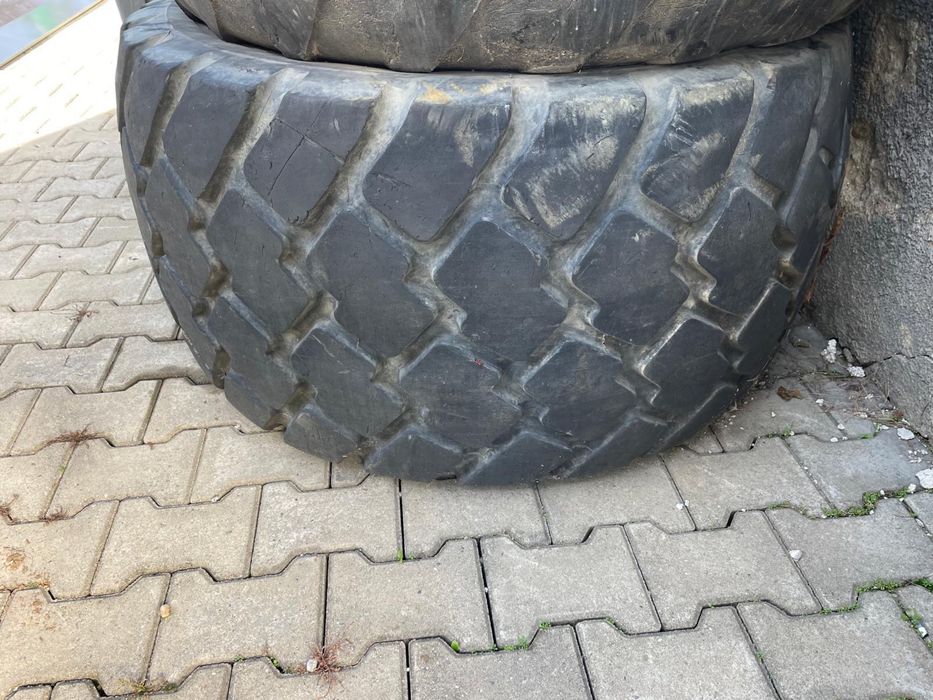 cuciucuri de vanzare