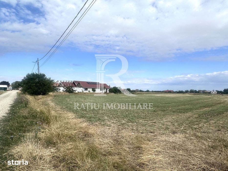Investiție cu potențial | Teren intravilan 9.482 mp | Leș, Bihor