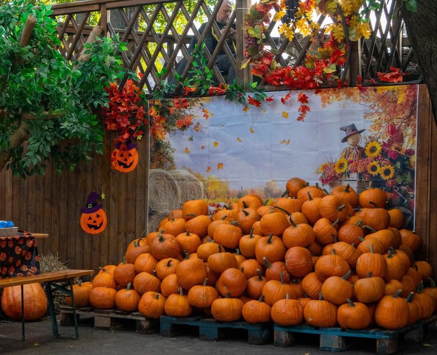 Dovleci decorativi si tărtăcuțe