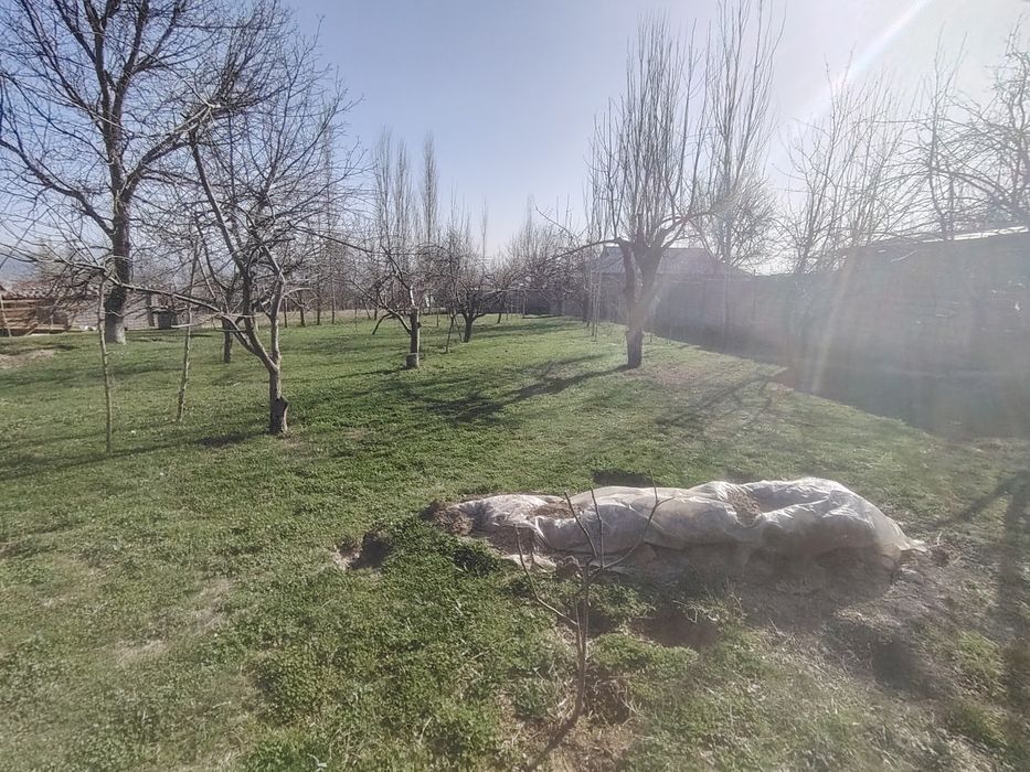 Yer sotiladi Oq towdan