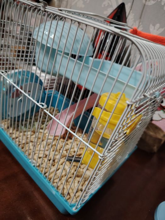 Продам хомячка с клеткой