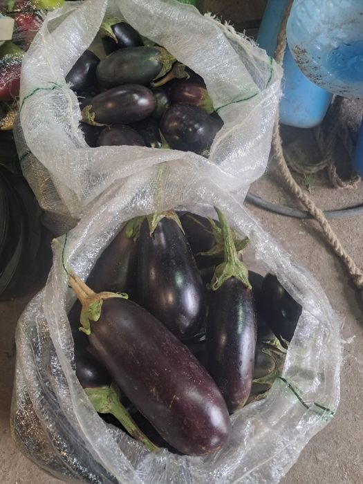 Продам домашний перец квашеная капуста баклажаны