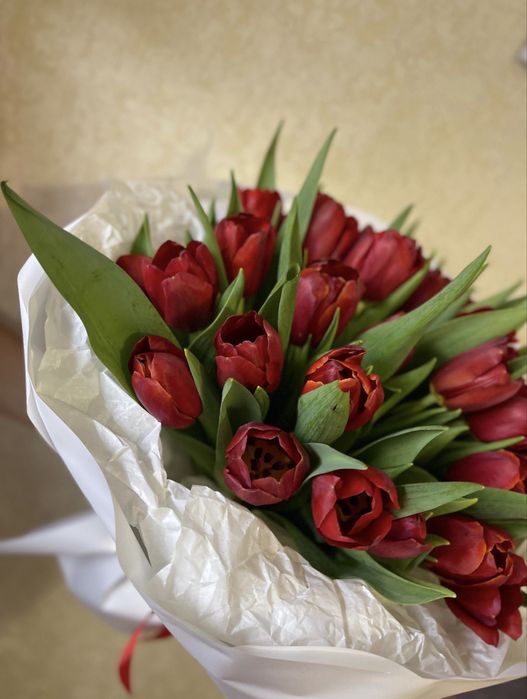 Тюльпаны премиум класса к 8 Марта!