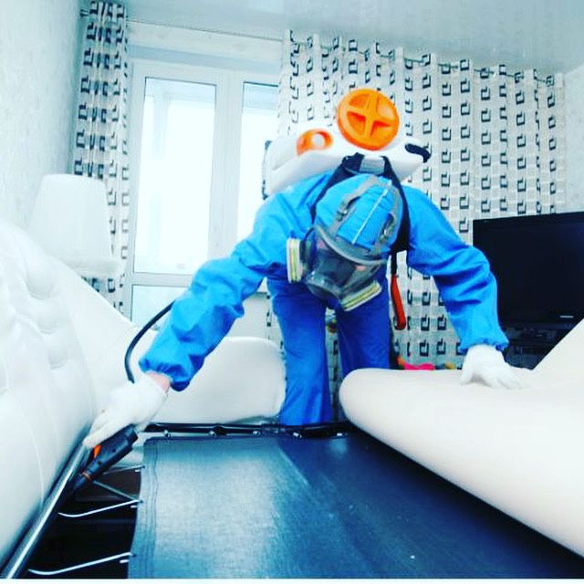 Дезинфекция дезинсекция дератизация  от насекомых