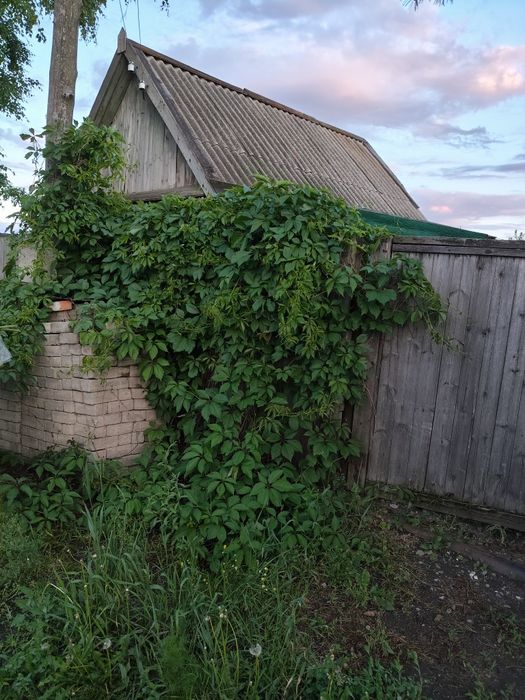 Продам дачу в" Чапаева"