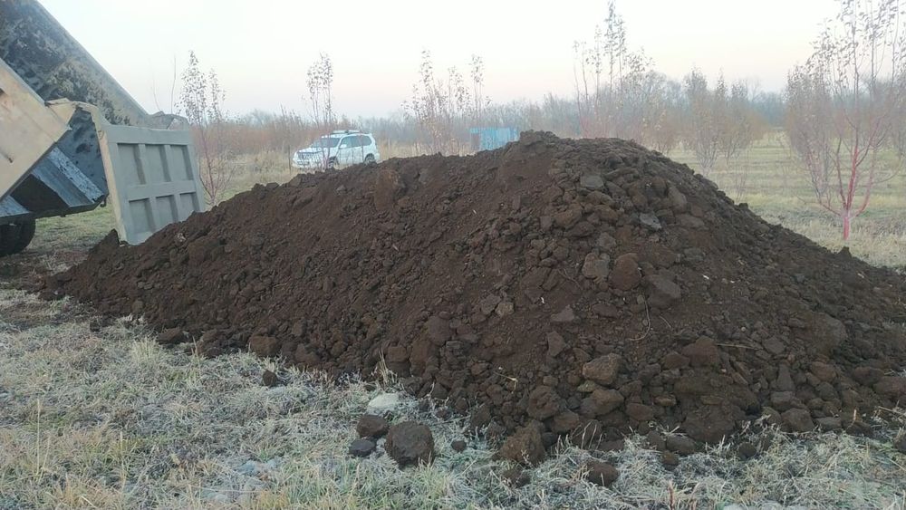 Сад яблоневый Иссык