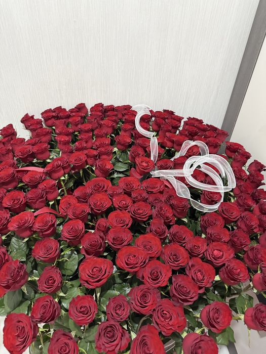 Гүл 201 роза свежий срочно