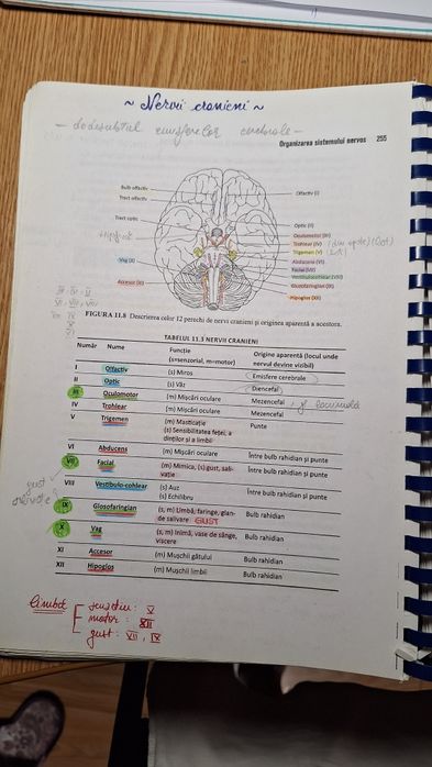 Manual barrons admitere medicina