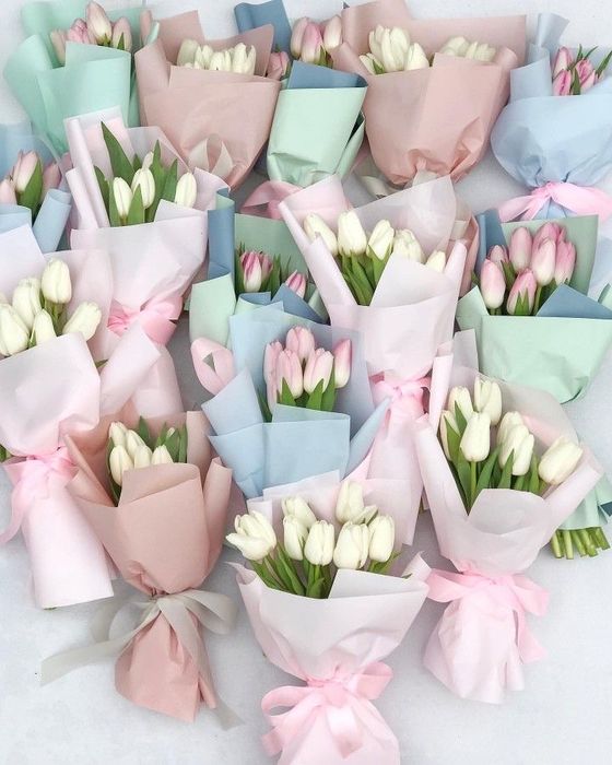 Тюльпаны свежие предзаказ