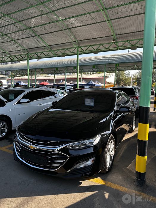 Malibu 2 primer 2021