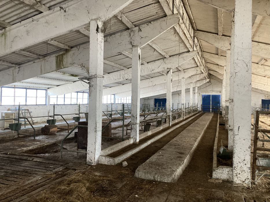 Vand ferma 3 hale saivane la nodul autostrazi A1 Dobra 7800m2