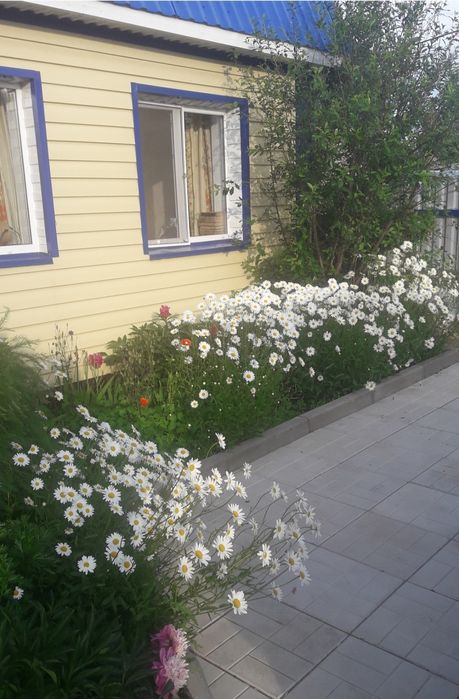 Дачу в обществе Гудок