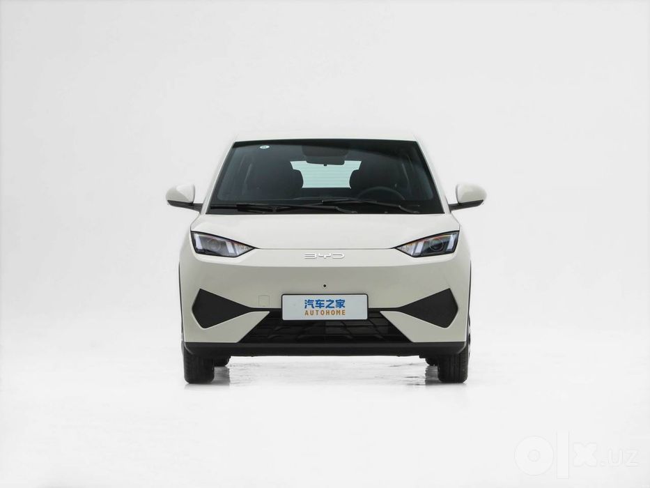 Byd seagull 2026