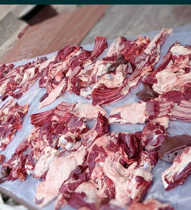 Кои еті соиып береміз