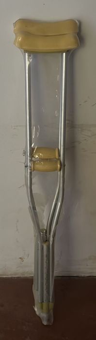 Касатель новый взрослый