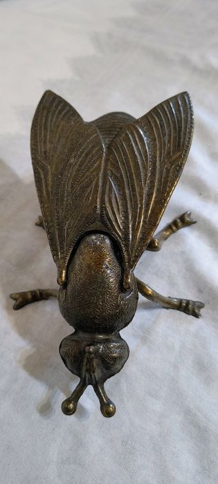 Голяма бронзова муха - пепелник