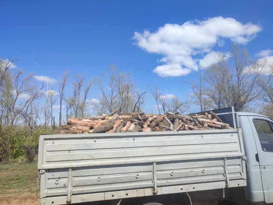 Продам дрова карагачь сухой