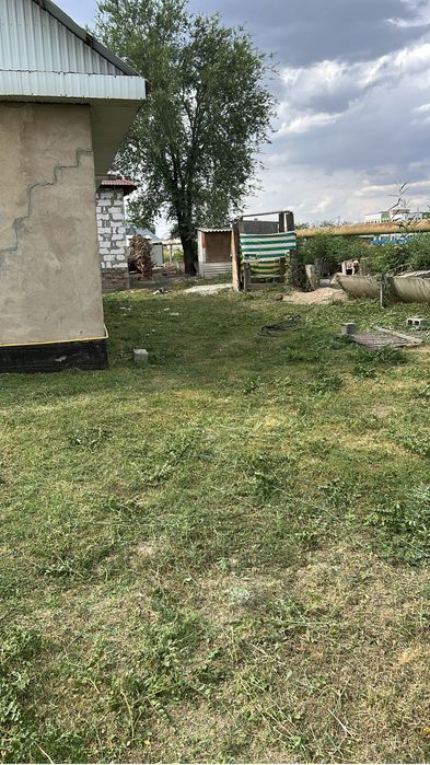 Косим траву Шоп шабамыз