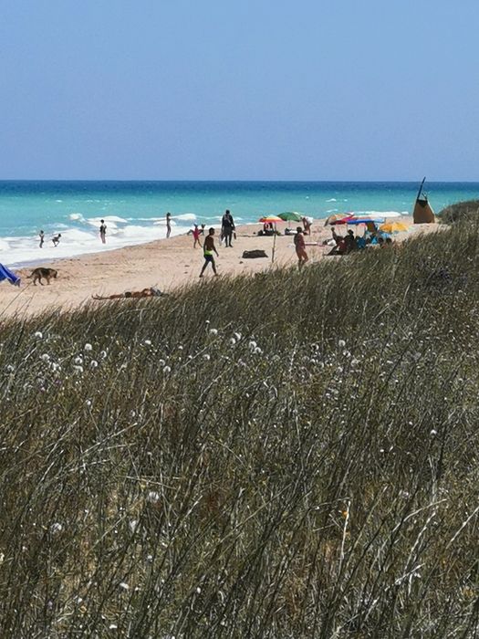 Продава се Земеделски имот в Добрич, Пинета -  кв.м за 30000 €/дка - Снимка #3