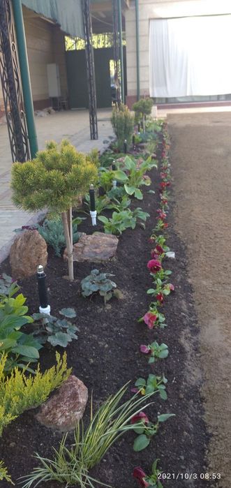 Ruloniy gazon lanshaft dizayin