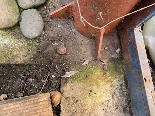 VÂND  Structură Metalică Multifuncțională