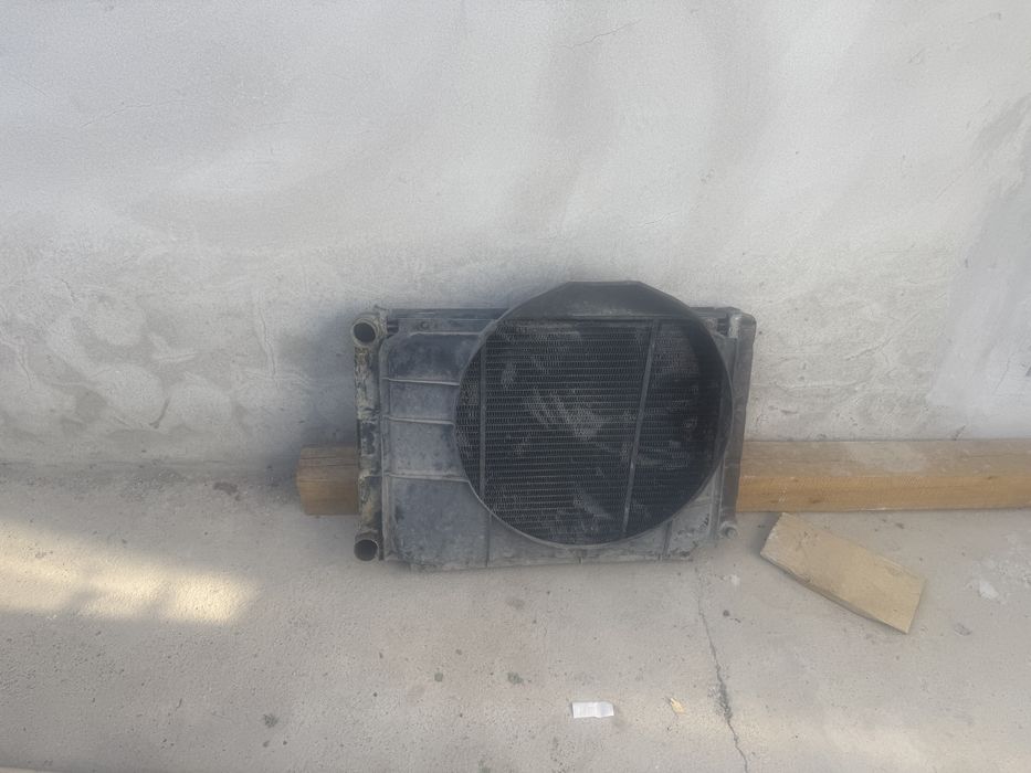 Родиотор Бинес газель Медвые