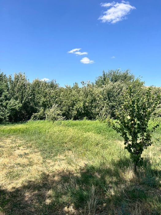 Продается кошара/Фазенда, мал қора