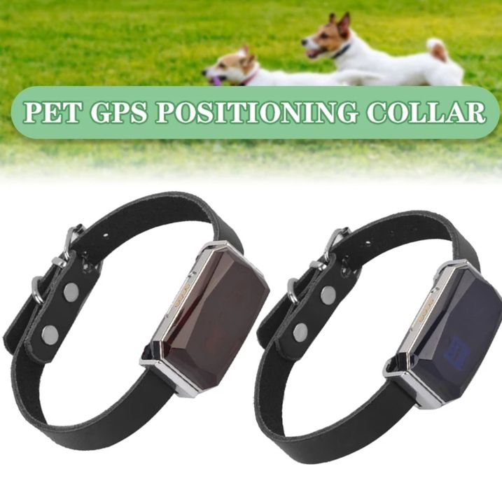 GPS-тракер с безплатно онлайн проследяване на кози овце кучета и др.