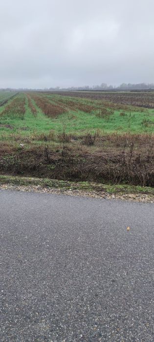 Vand teren in zona Ștefănești / Dobrusa la  drumul principal  3500mp
