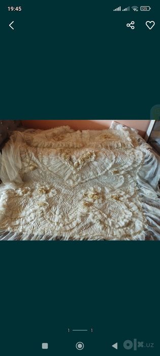 Dvoika xolati yaxshi arzonga beraman