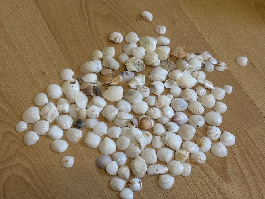 Ракушка для аквариума или подделок