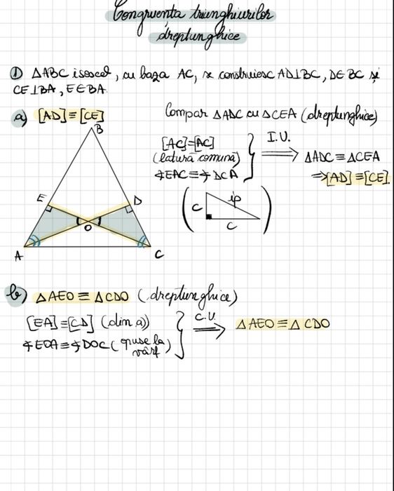 Meditatii Individuale Matematica