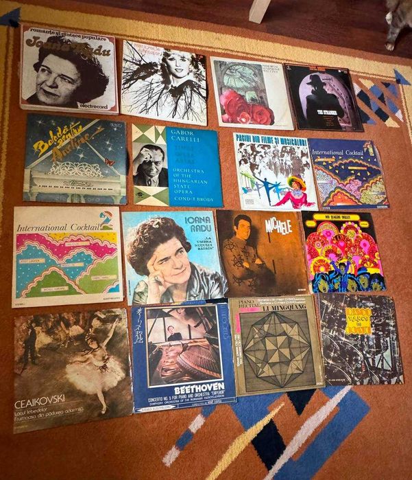 Lot 65 discuri vinil / LP — Electrecord, clasice, pop, tango, Sinatra, Smokie