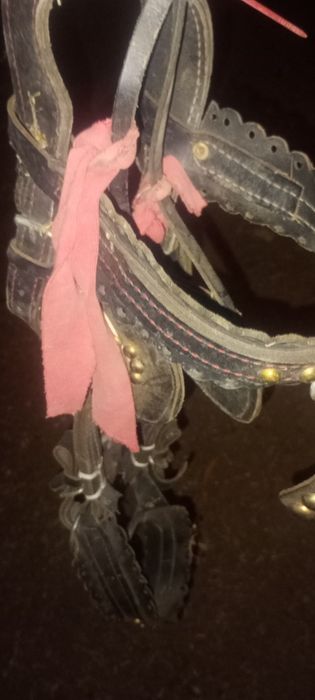 Vând Ham + căpăstru în stare foarte buna
